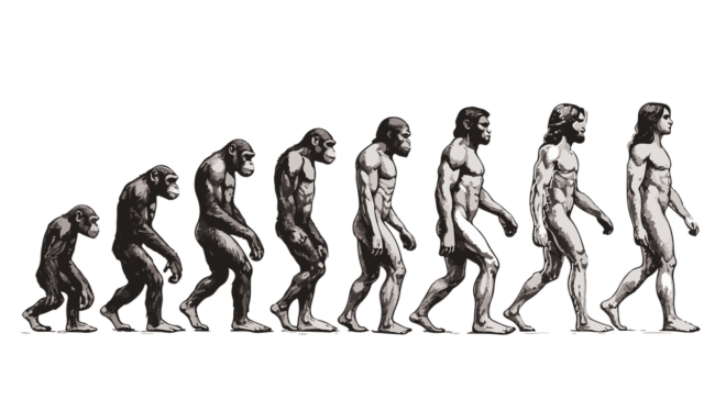 Evolution google referencement 2