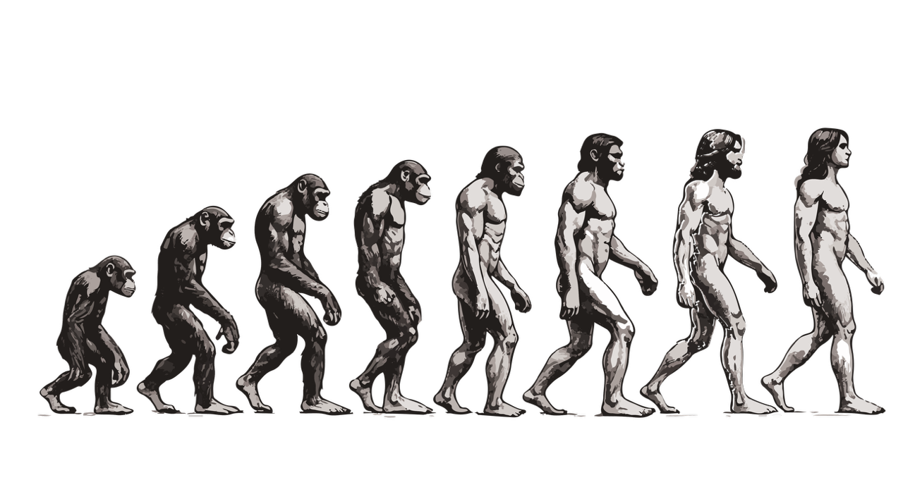 Evolution google referencement 2